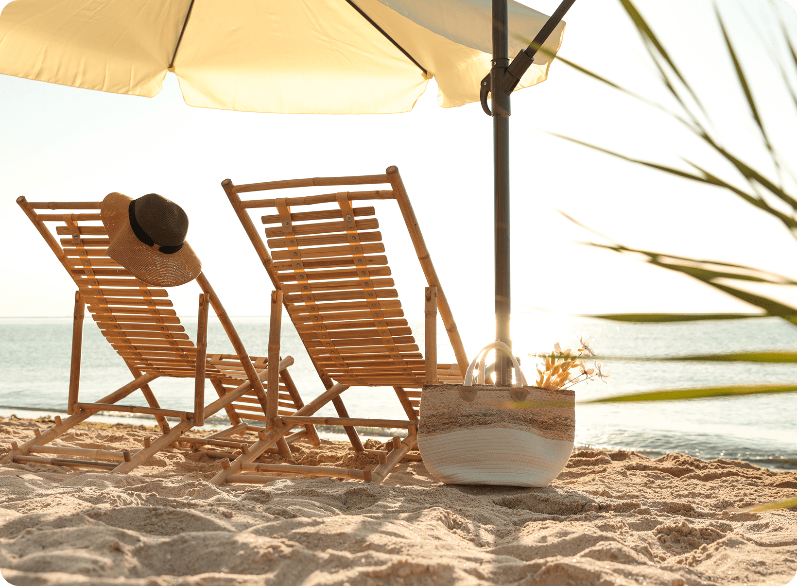 Beach chairs under umbrella on sandy shore.