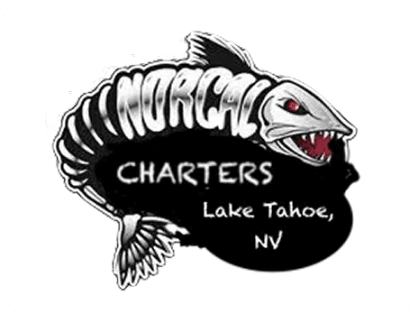 Fish skeleton logo, Norcal Charters, Lake Tahoe.